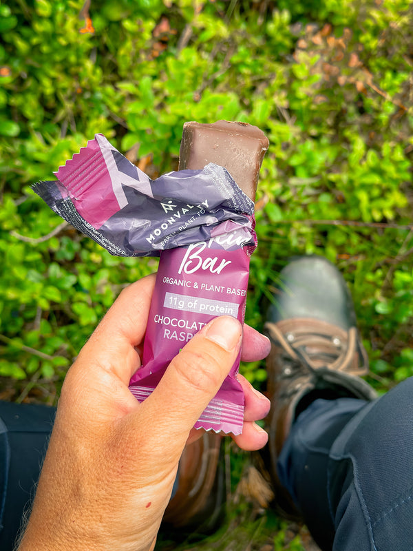 Moonvalley Organic Protein Bar Chocolate-Dipped - Raspberry Box (12 x 50 g)
